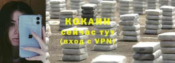 ешки Арсеньев