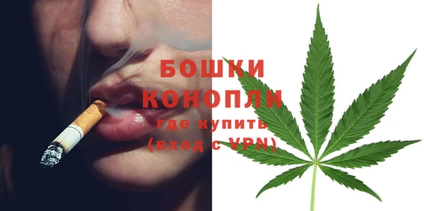 каннабис Аркадак