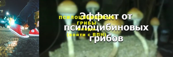 ешки Арсеньев