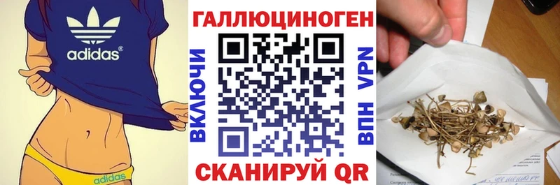 наркота  Свободный  Галлюциногенные грибы мухоморы 